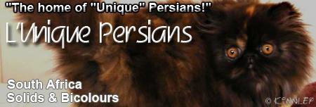 luniquepersians